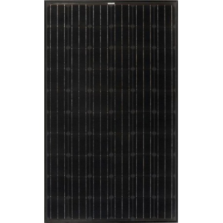 Suntech 320 black solar modules