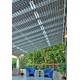 Solar modules transparent pour jardin d'hiver translucide